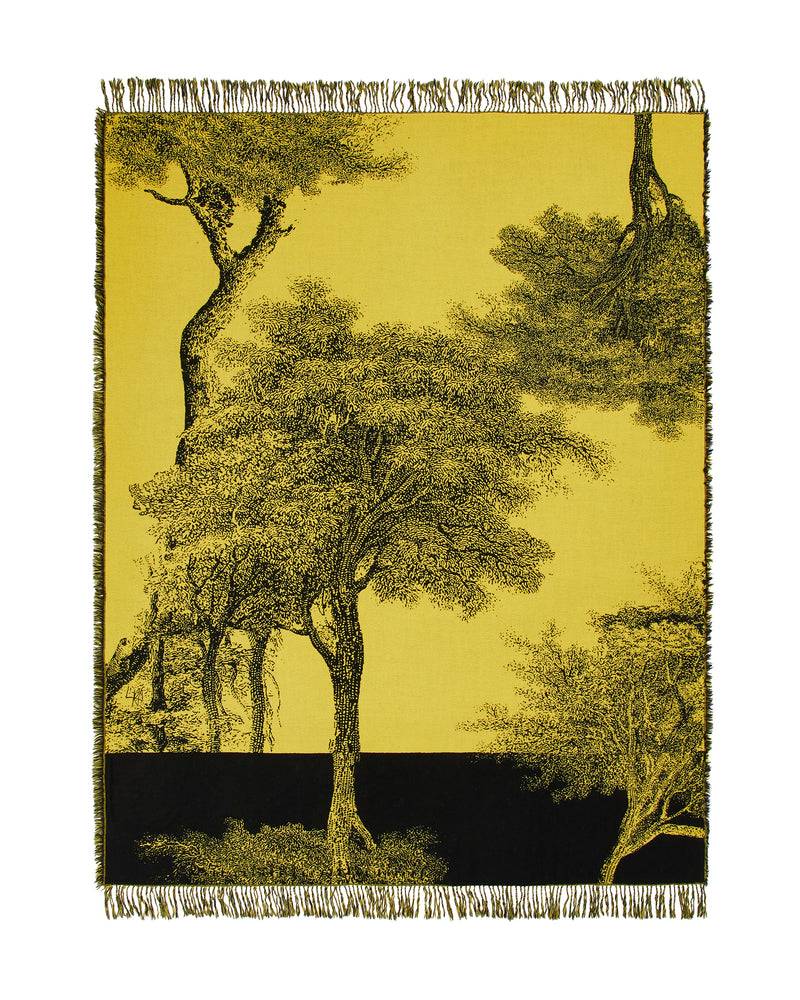 Lanerossi Radici plaid by Palomba Serafini Qualità Garantita