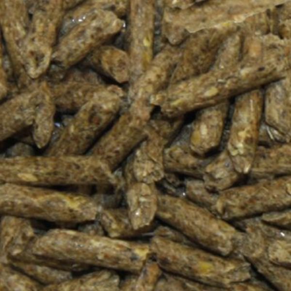 Bauzaar Croci Rabbit Roger Essential alimento Conigli Nani Presa