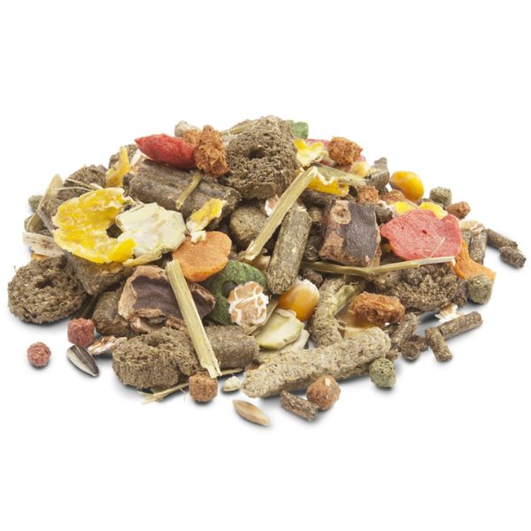 Bauzaar Versele Laga Crispy Muesli per Conigli nani Saldi Di Fabbrica