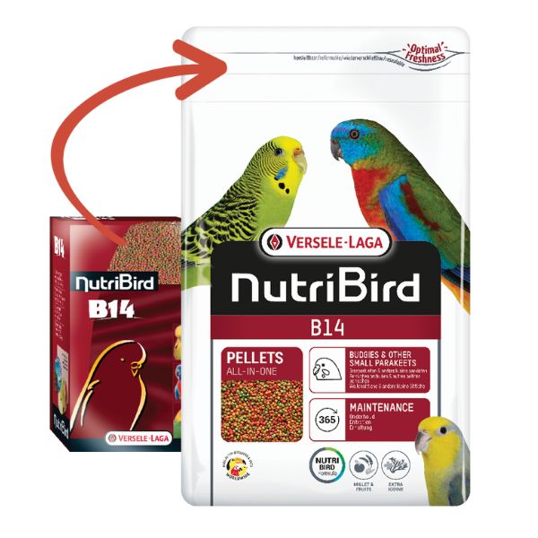 Bauzaar Versele Laga Nutribird B14 Parrocchetti 2025