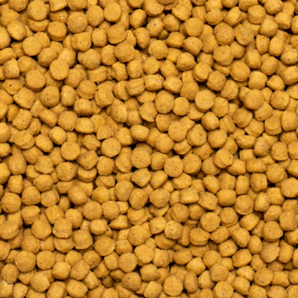 Bauzaar Psittacus Mantenimento Alta Proteina Fino al 50% di sconto