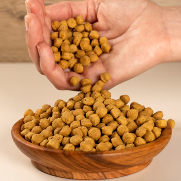 Bauzaar Psittacus Mantenimento Alta Proteina Fino al 50% di sconto