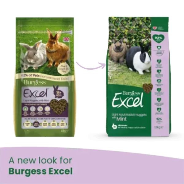 Bauzaar Burgess Excel Coniglio Light In Linea
