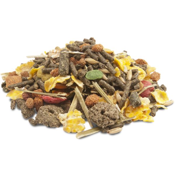 Bauzaar Versele Laga Crispy Muesli Guinea Pigs per porcellini d'india Outlet