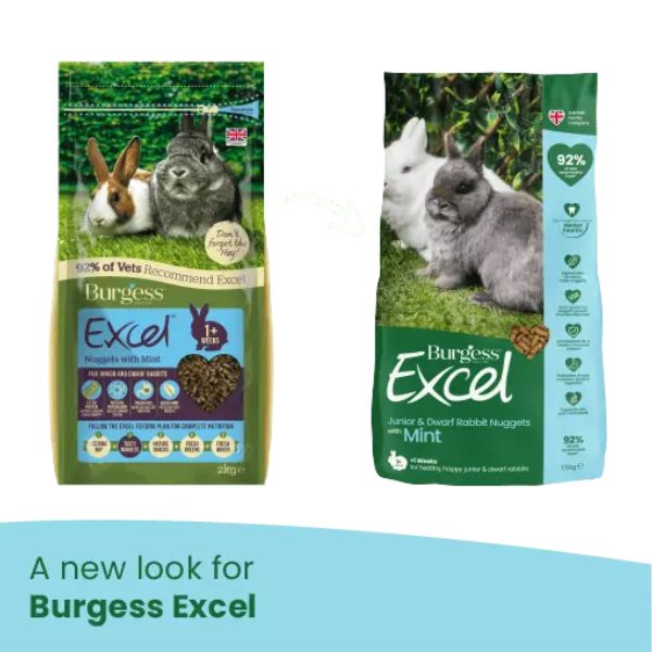 Bauzaar Burgess Excel Coniglio Junior Vendita Calda