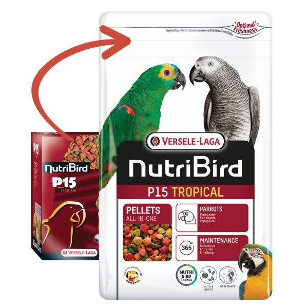Bauzaar Versele Laga Nutribird P15 Tropical Mantenimento Moda