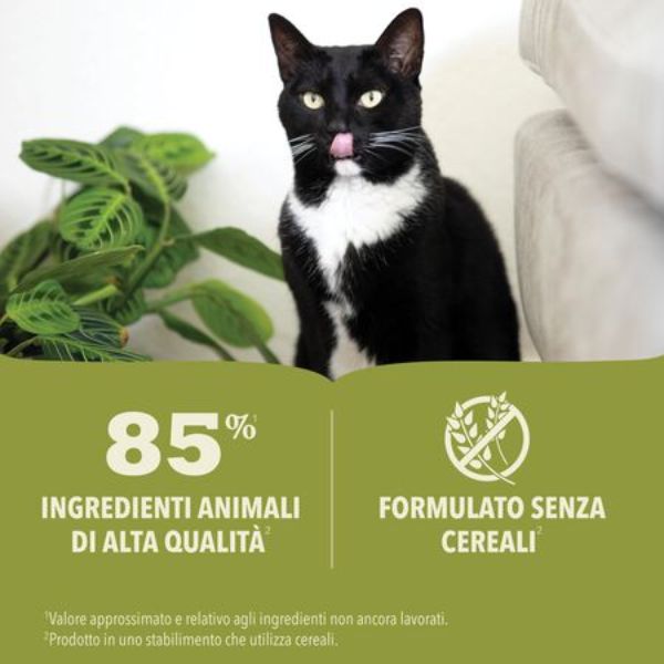 Bauzaar confezione da 6 Offerte