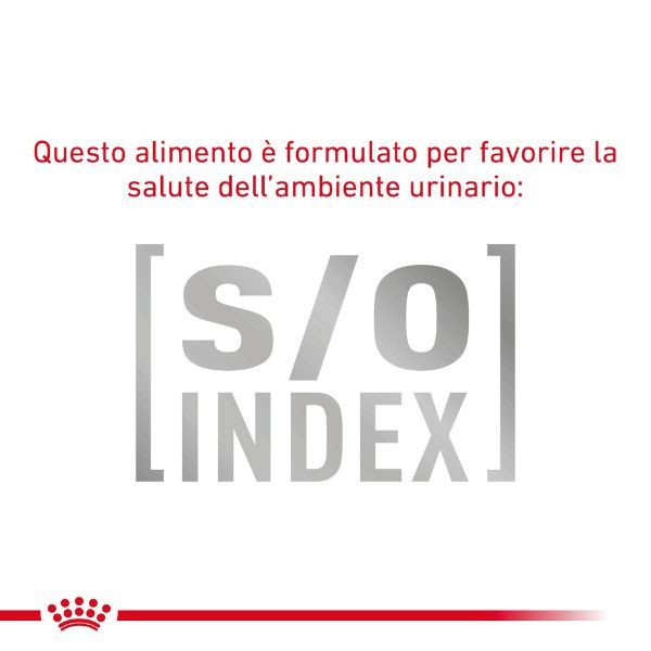 Bauzaar Royal Canin Gastrointestinal secco Feline Italy
