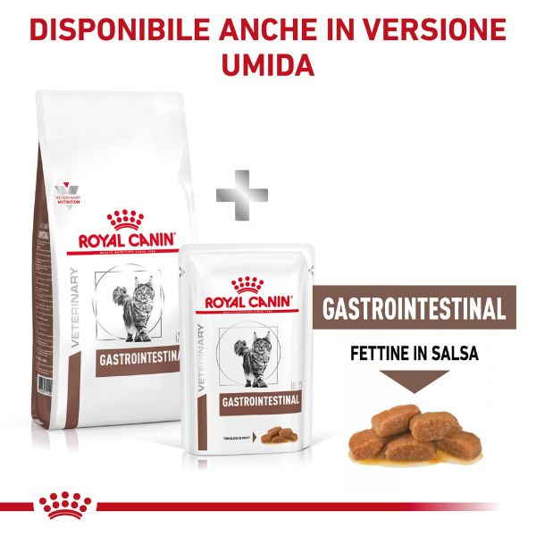 Bauzaar Royal Canin Gastrointestinal secco Feline Italy