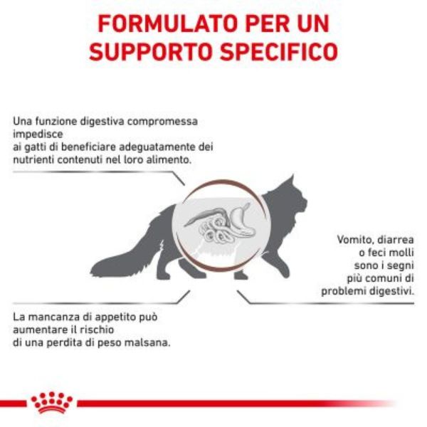 Bauzaar Royal Canin Gastrointestinal secco Feline Italy