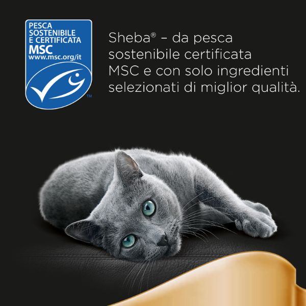 Bauzaar Sheba Mini Filets Selezione In Salsa Multipack Qualità