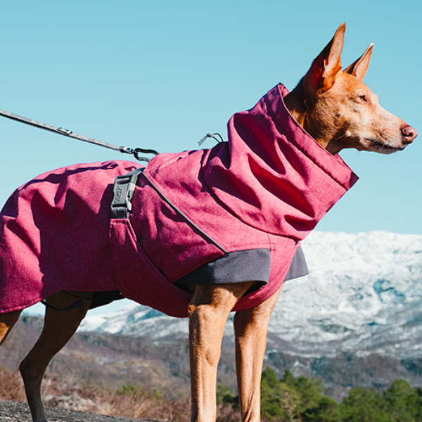 Bauzaar Expedition Parka Hurtta Novità