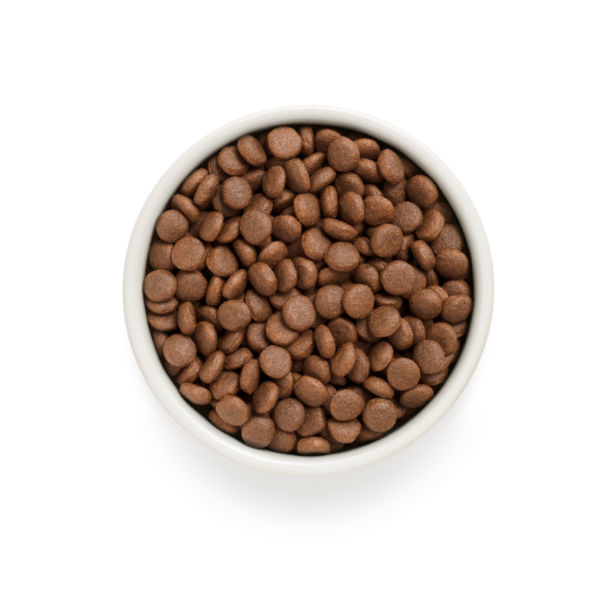 Bauzaar Grandorf Dog Adult Medium/Maxi Grain Free Anatra e Tacchino Offerte