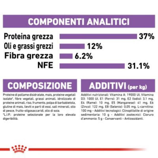 Bauzaar Royal Canin Sterilised 37 Cat Food Negozio