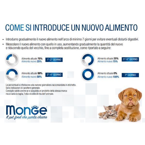 Bauzaar confezione da 6 Italy