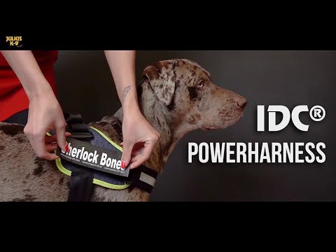 Bauzaar Pettorina Power Harness Julius K9 Moda