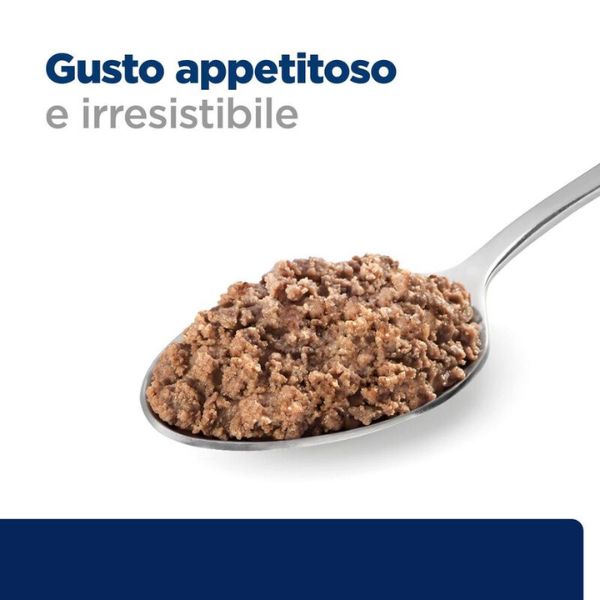 Bauzaar confezione da 6 Shopping Online