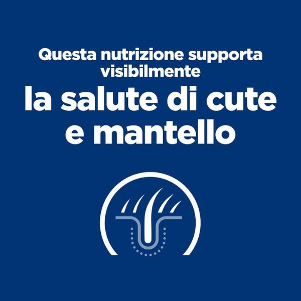 Bauzaar confezione da 6 Shopping Online