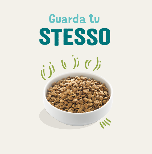 Bauzaar Edgard & Cooper Adult Grain Free Agnello Economico