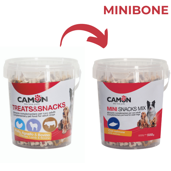 Bauzaar Camon Mini Treats&Snacks Box 500 gr Sconti questo mese
