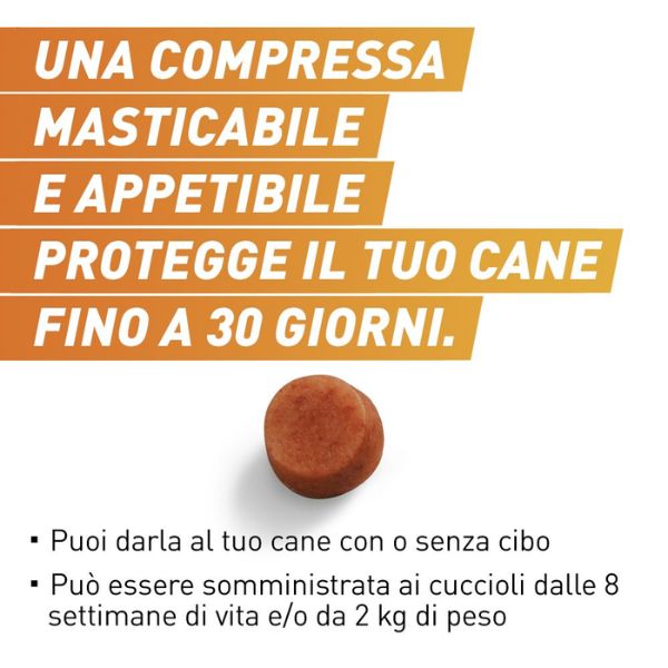 Bauzaar Frontpro compresse antiparassitarie masticabili Frontline In Saldo