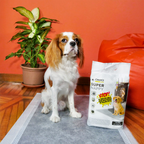 Bauzaar Tappetini Igienici Super Nappy Carbone Attivo Croci Nuova