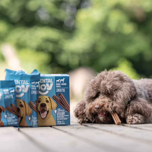 Bauzaar DentalJoy Dog Adult Mini Snack Dentali Spedizione Gratuita