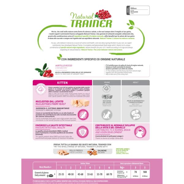 Bauzaar Natural Trainer Kitten con Salmone Pezzi Unici