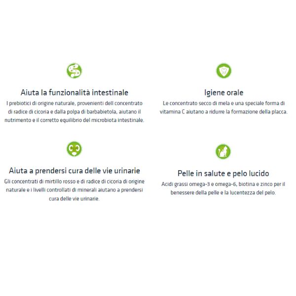 Bauzaar Natural Trainer Adult con Tonno Offerte