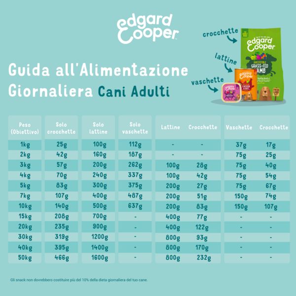 Bauzaar confezione da 11 In Saldo