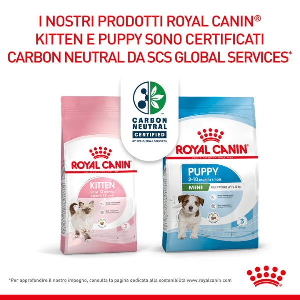 Bauzaar Royal Canin Kitten 36 Negozio online di fabbrica