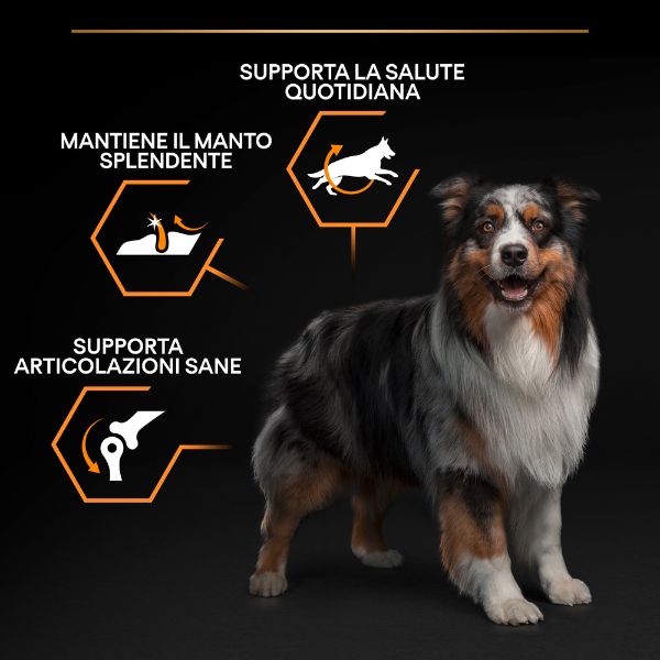 Bauzaar Purina Pro Plan Everyday Nutrition Medium Adult Crocchette Cane Pollo Officina