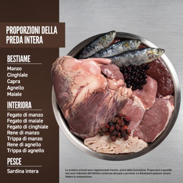 Bauzaar Orijen Regional Red Dog Food Limitato a 3 giorni