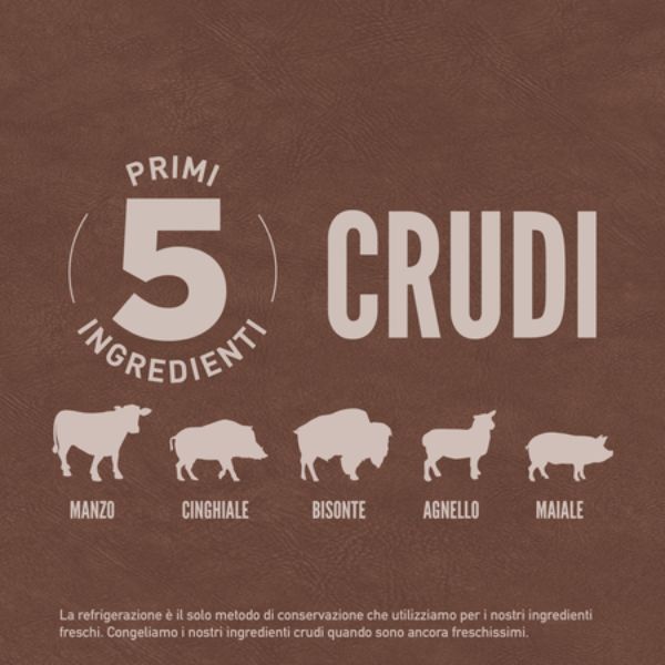 Bauzaar Orijen Regional Red Dog Food Limitato a 3 giorni