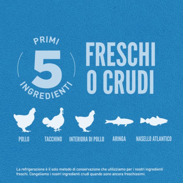 Bauzaar Orijen Original Adult Dog Food Black Friday Prezzi