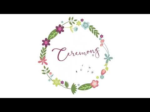 Bauzaar Pettorina ad H per cani con porta fedi da cerimonia Croci Ceremony Promozione Limitata