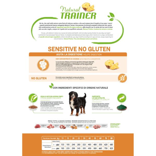 Bauzaar Natural Trainer Sensitive No Gluten Medium & Maxi Adult con Salmone Sconto di tempo limitato