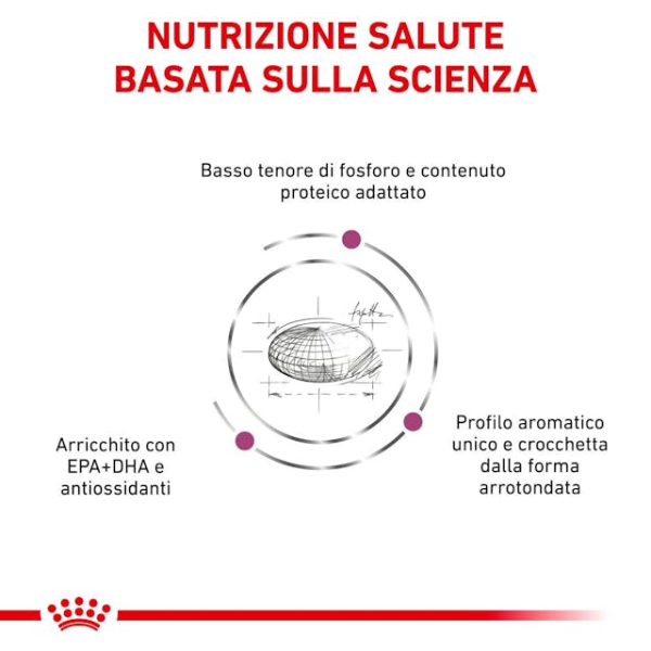 Bauzaar Royal Canin Cat Renal Vendite stagionali
