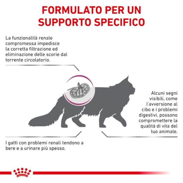 Bauzaar Royal Canin Cat Renal Vendite stagionali