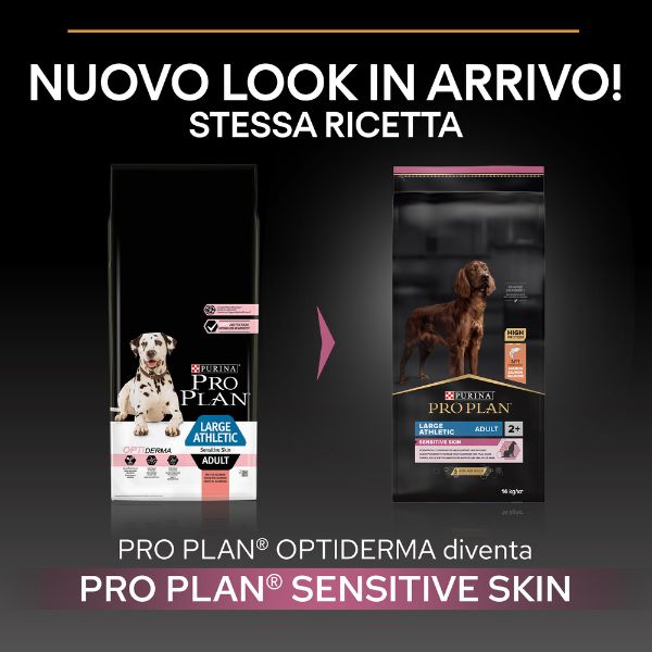 Bauzaar Purina Pro Plan Sensitive Skin Large Athletic Adult Crocchette Cane Salmone Grandi sconti