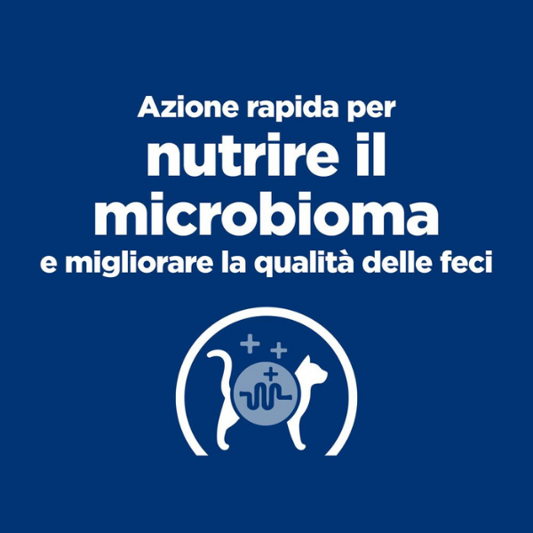 Bauzaar confezione da 6 Offerte speciali