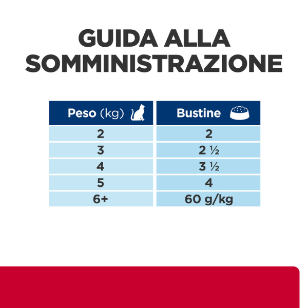 Bauzaar confezione da 12 Enormi risparmi