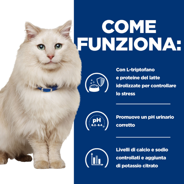Bauzaar confezione da 12 Enormi risparmi