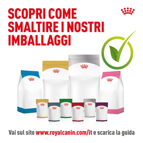 Bauzaar confezione da 12 Sconti questo mese