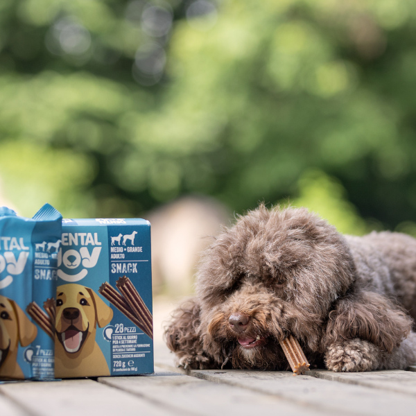 Bauzaar DentalJoy Dog Adult No Grain Medium/Large Snack Dentali Offerte