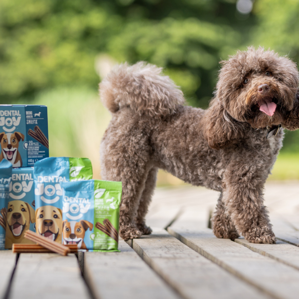 Bauzaar DentalJoy Dog Adult No Grain Medium/Large Snack Dentali Offerte