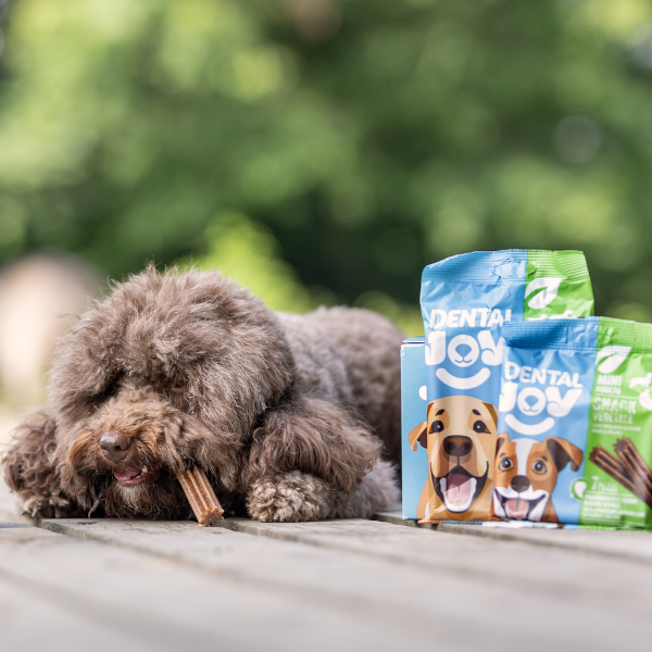 Bauzaar DentalJoy Dog Adult Mini Snack Dentali Vegetale Hotsell
