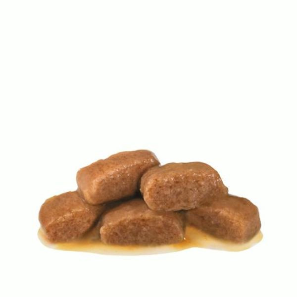 Bauzaar Royal Canin Gastrointestinal Fibre Response in salsa multipack 12x85 gr Moda