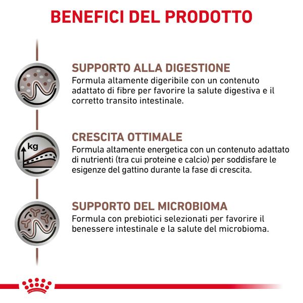 Bauzaar Royal Canin Gastrointestinal Kitten Feline Liquidazione