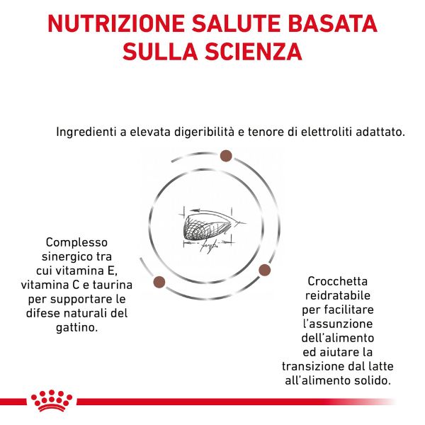 Bauzaar Royal Canin Gastrointestinal Kitten Feline Liquidazione